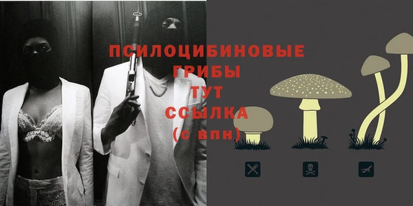 мескалин Михайлов
