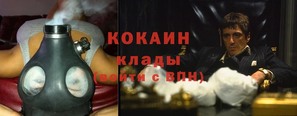 трава Наволоки