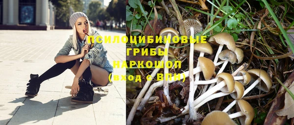 спиды Навашино
