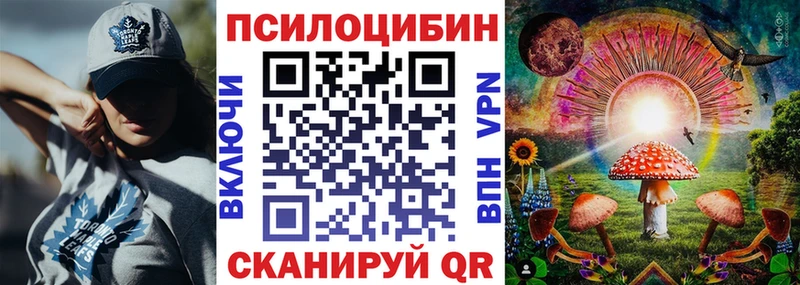 Галлюциногенные грибы Cubensis  как найти наркотики  Нестеров 
